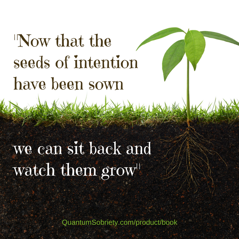 What seeds have YOU planted? 🌱 - Quantum Sobriety